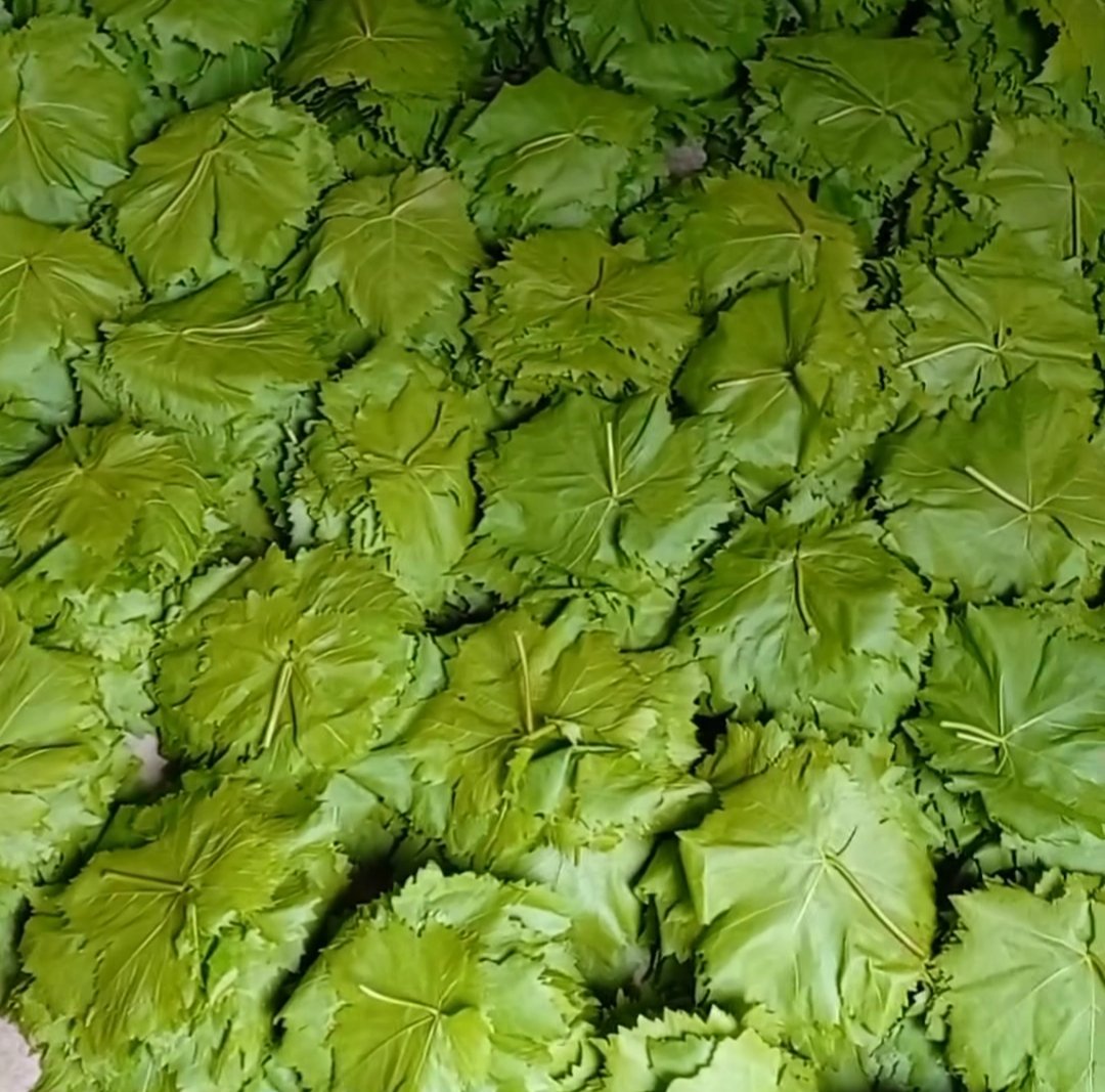 Salamura Yaprak 5 kg - Görsel 5